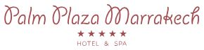 Palm Plaza Hôtel & Spa